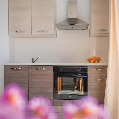 펜션 Six-bedroom In 로고즈니차